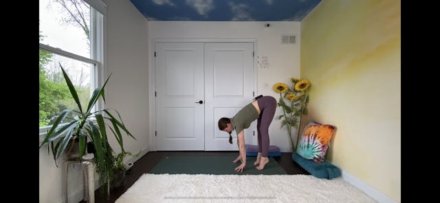 Let Go Forward Fold Practice with Leslie