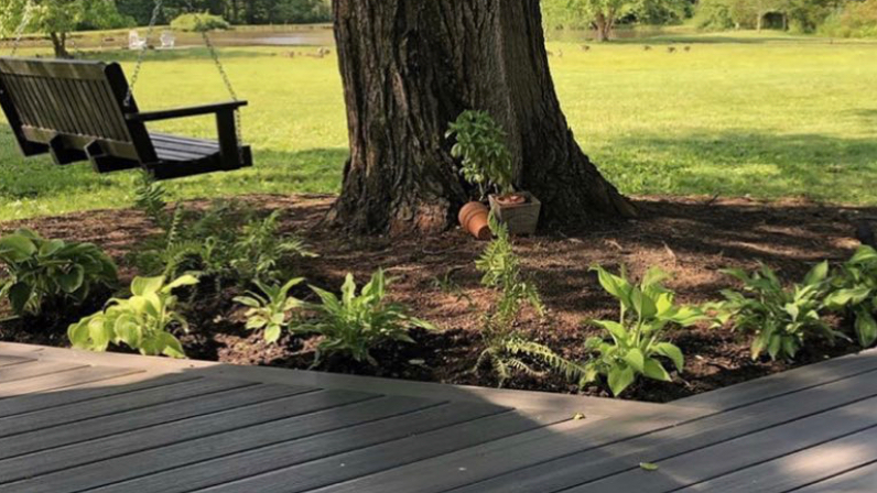 Meditation: Beginning Your Mindfulness Journey 