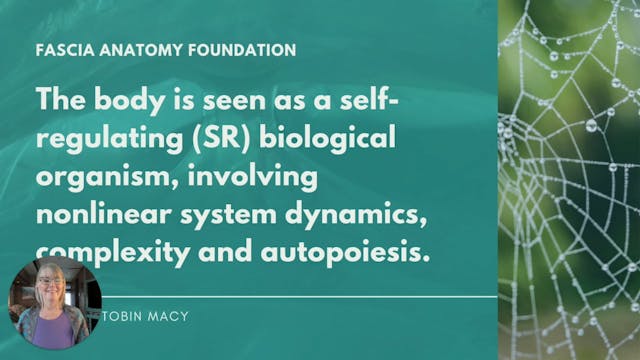 Chapter 3: Fascia Anatomy & Physiolog...
