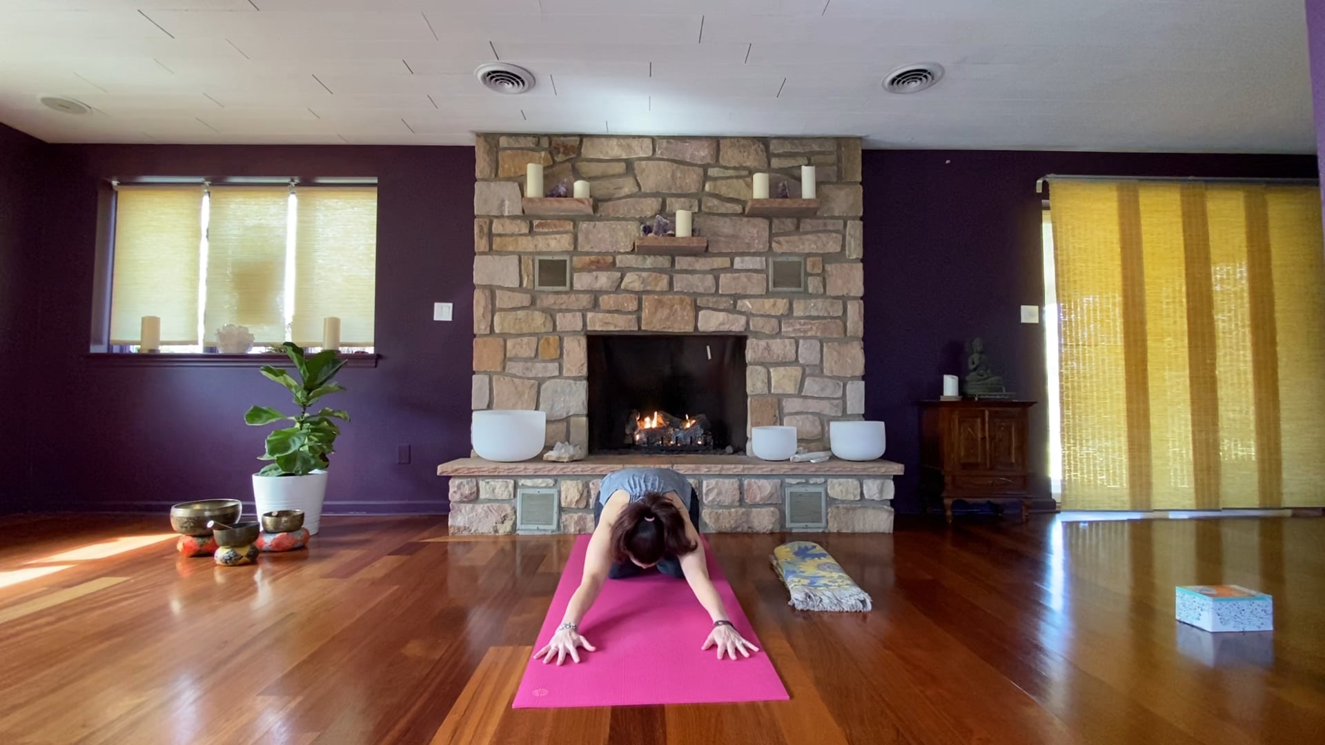 Beginner Flow with Jaime