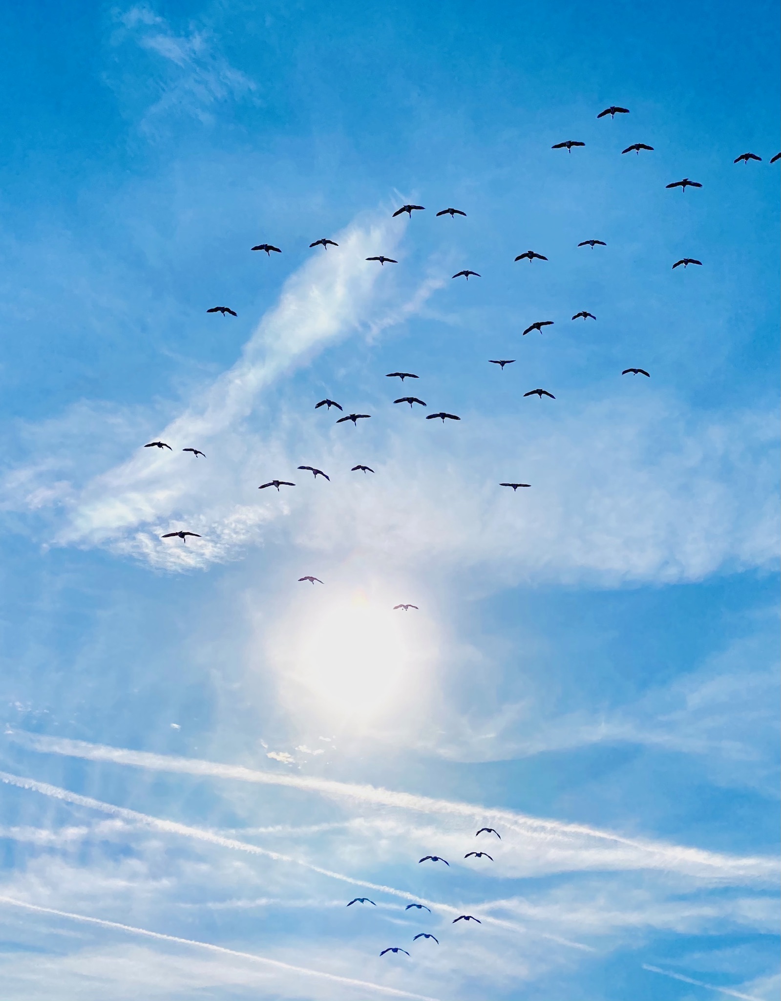 Tips + Techniques: Cleansing Breath 