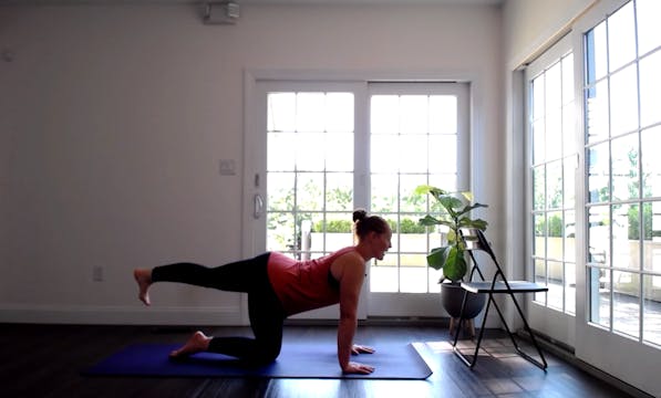 10 Minute Core Revving with Stephanie