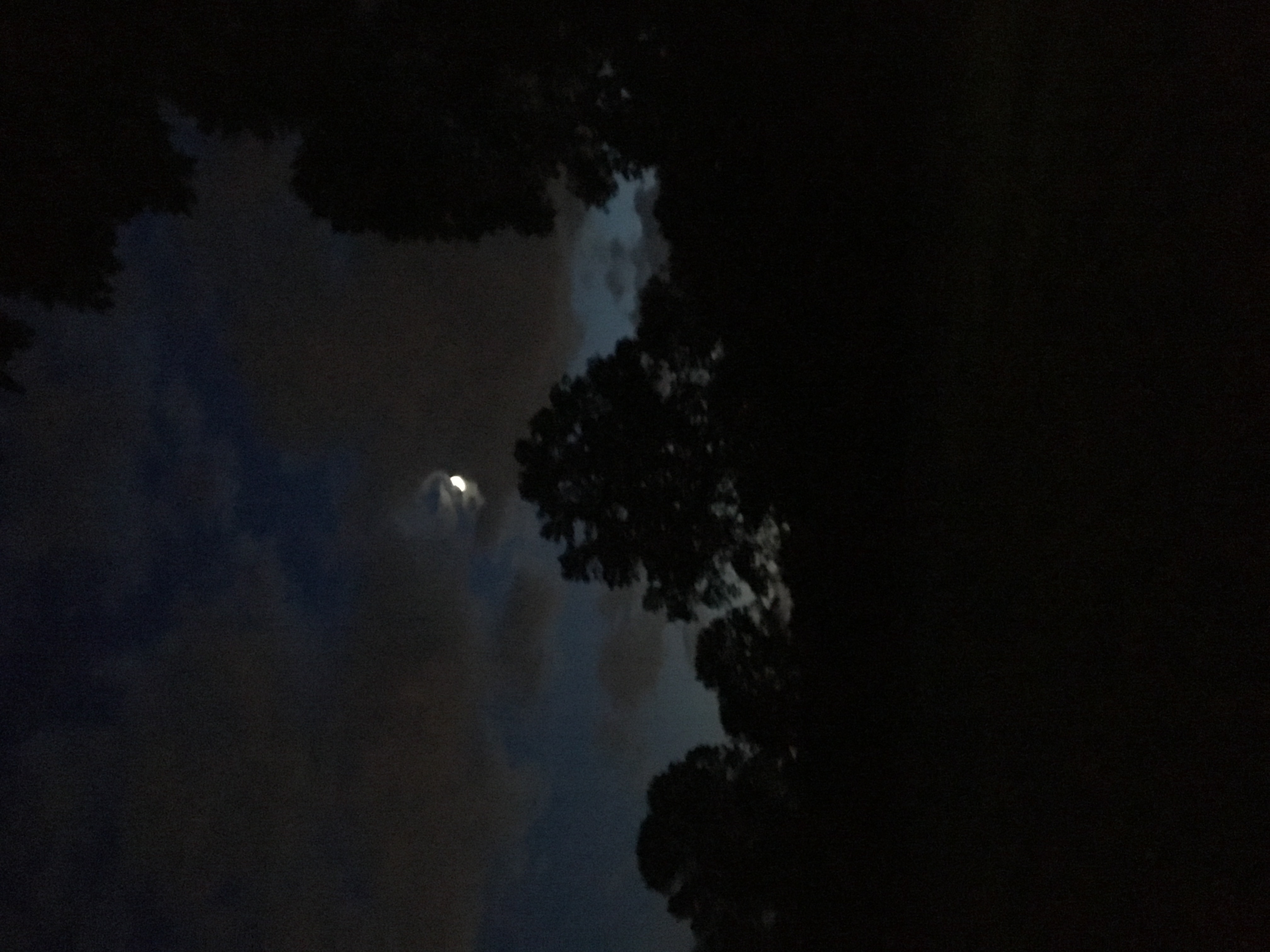 Yoga Nidra for Falling Asleep Peacefully 