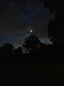 Yoga Nidra for Falling Asleep Peacefu...