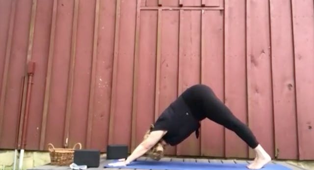 Gentle Free Flow Vinyasa with Karen