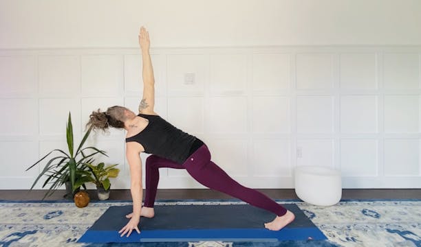 Twisty Vinyasa with Jess