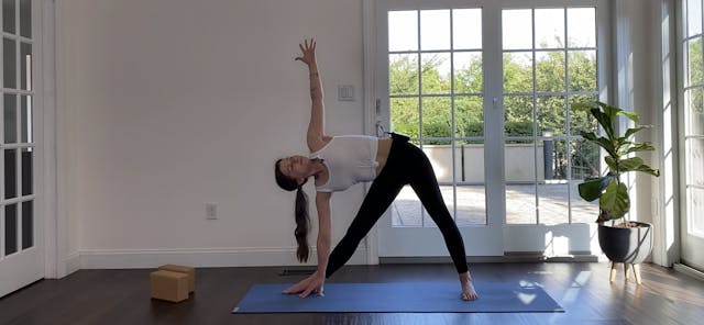 Twisting Chandra Namaskar Vinyasa wit...