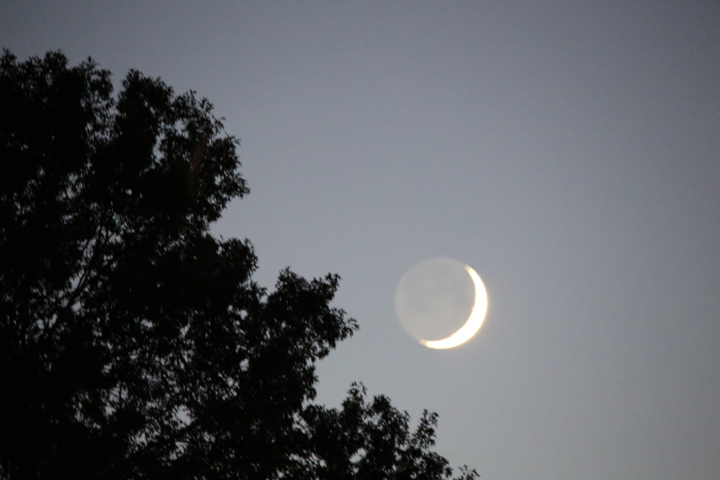 Tips + Techniques: Using Stickers to Begin Your Meditation Practice 