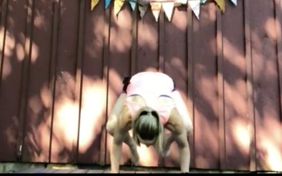 Livestream: Vinyasa + Crow Variations...