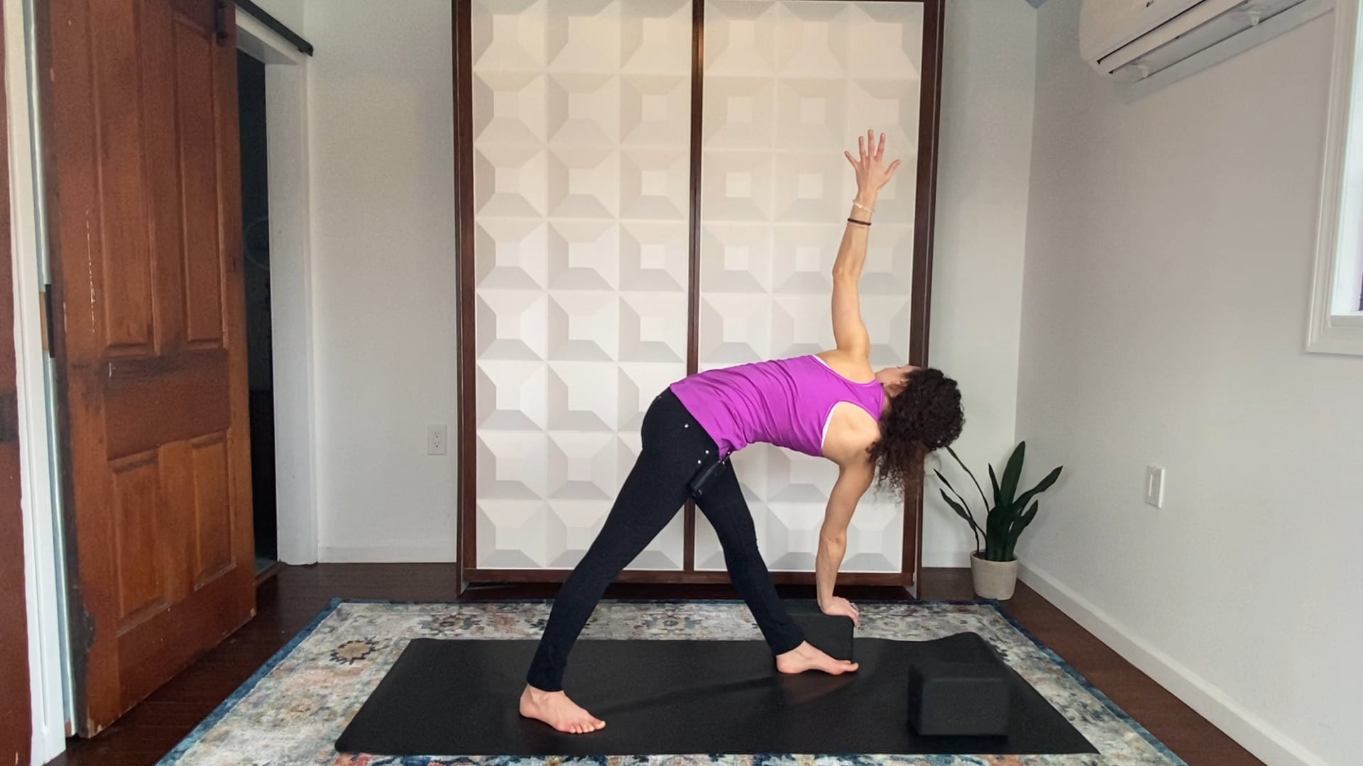 Revolved Triangle Pose with Amanda