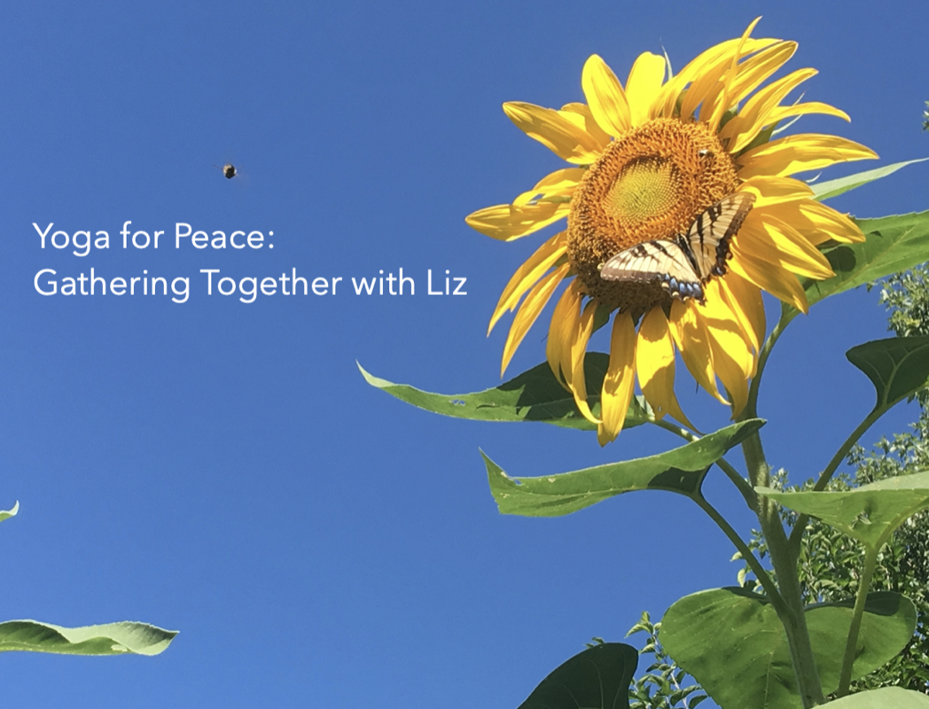 Yoga for Peace: Gathering Together with Liz
