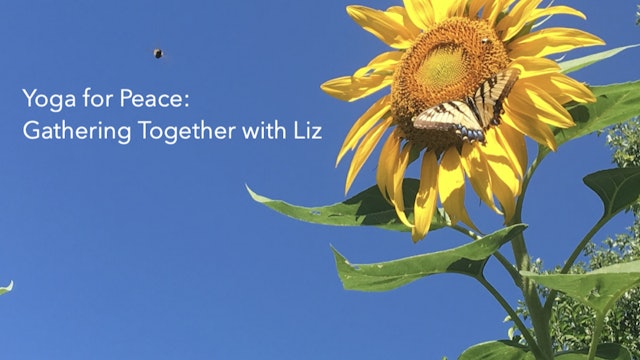 Yoga for Peace: Gathering Together with Liz