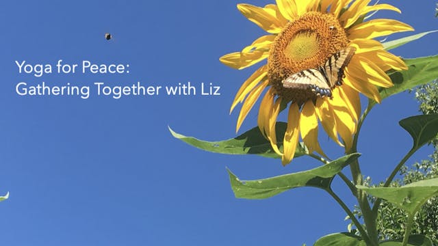 Yoga for Peace: Gathering Together wi...