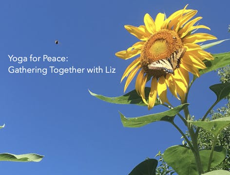 Yoga for Peace: Gathering Together wi...