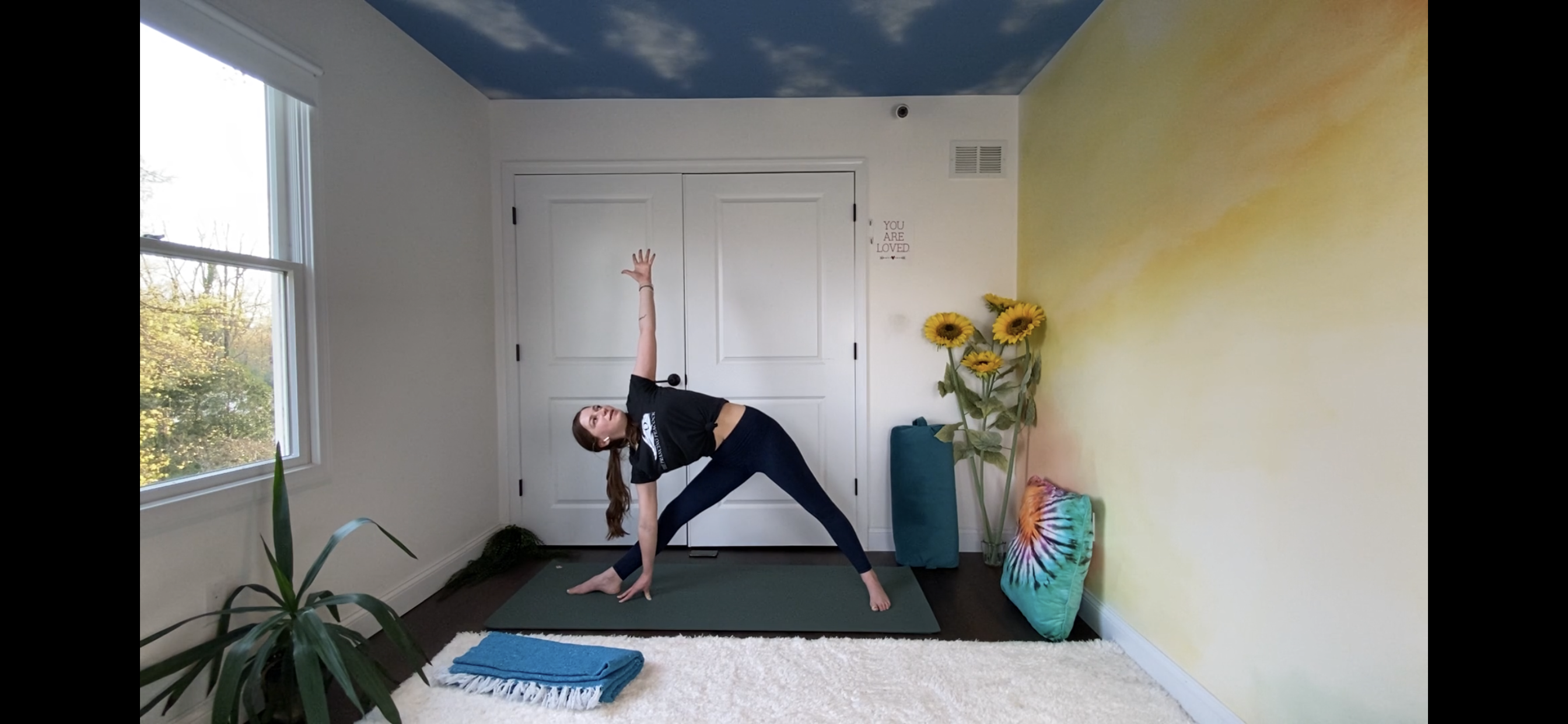 Lunge and Reach Beginner Flow with Leslie