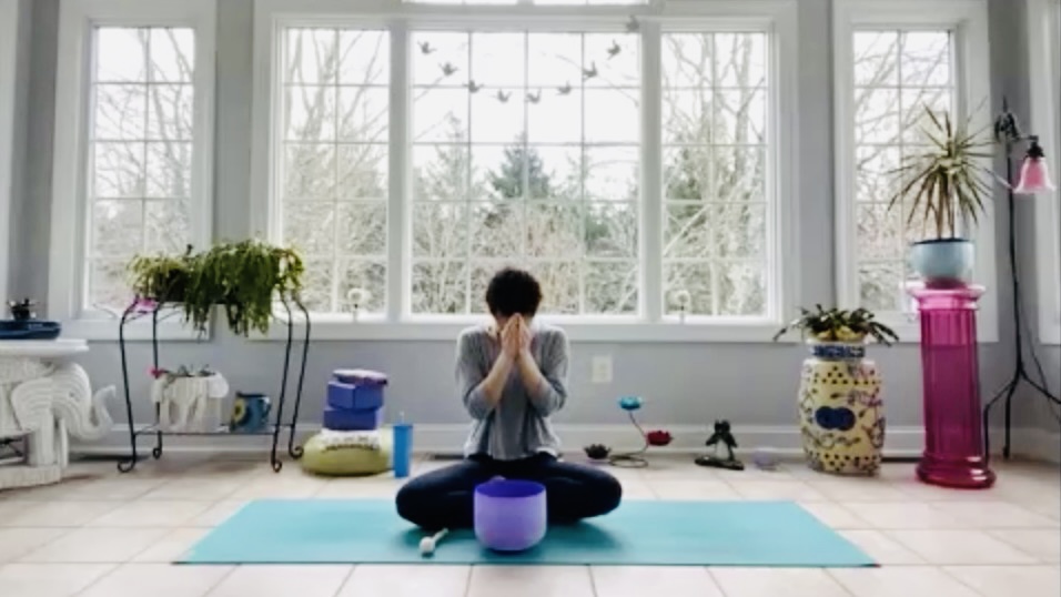 Livestream Beginner Yoga with Amanda