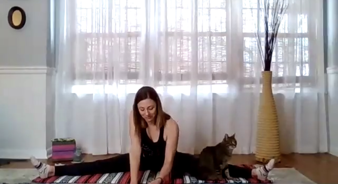  Yin Yoga for Opening the Body Livestream with Kelly
