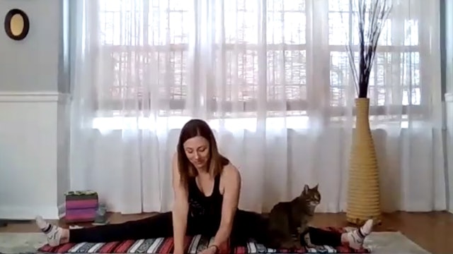  Yin Yoga for Opening the Body Livestream with Kelly