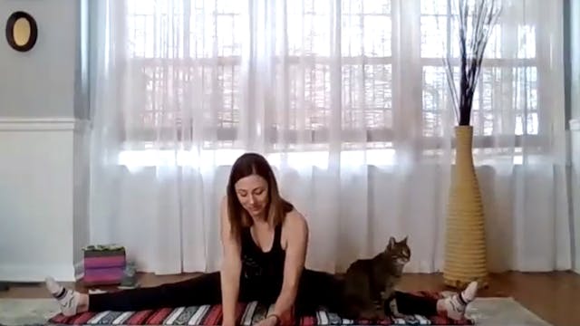 Yin Yoga for Opening the Body Livest...