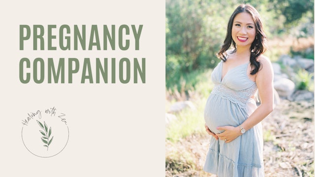 Pregnancy Companion : Holistic Tips & Tricks 