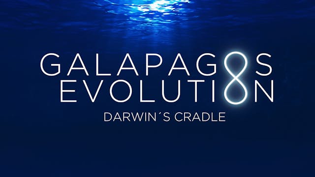 Galapagos Evolution