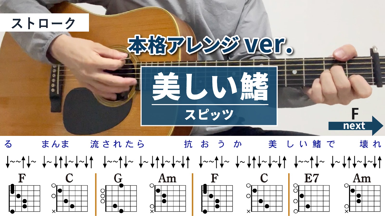 美しい鰭 _ スピッツ - 弾き語りギターコード【本格アレンジ・ストローク】