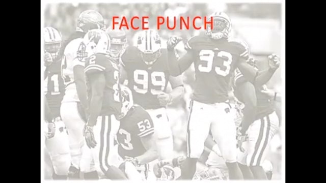 Wisconsin DL - Face Punch