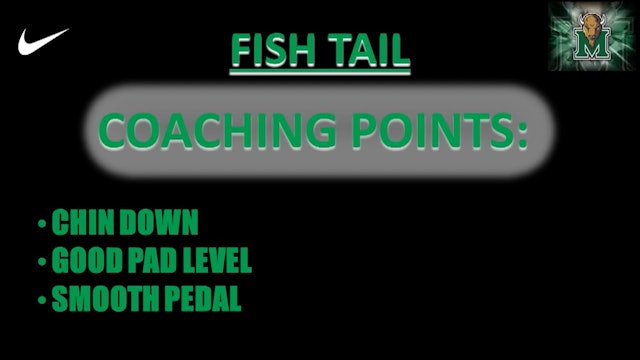 Marshall DB Fish Tail
