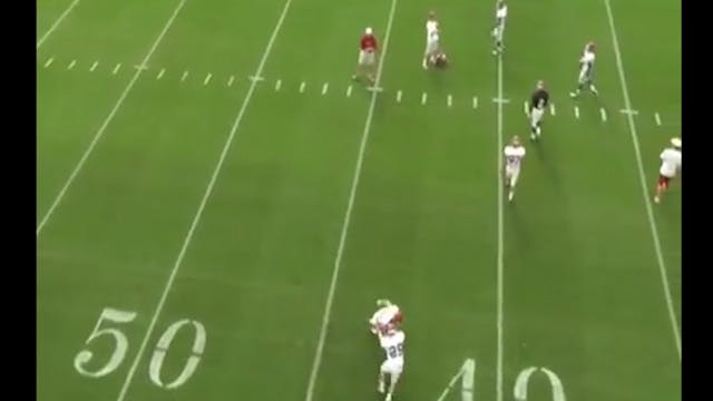 Alabama WR Chicken Wing