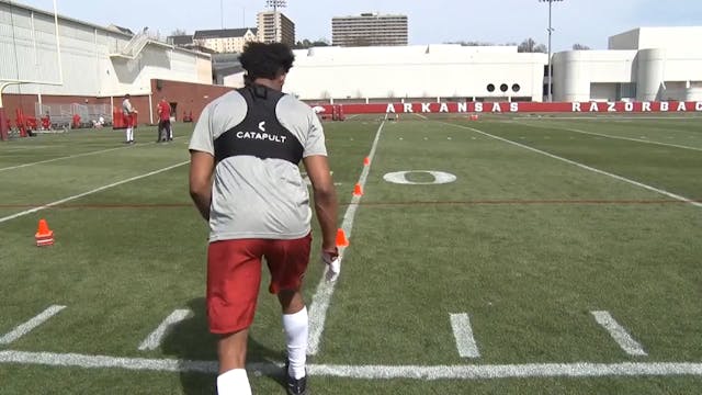 Arkansas WR Pigtail