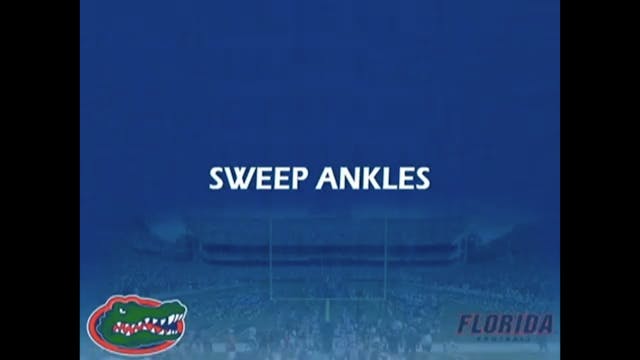 Florida Linebacker - Sweep Ankles