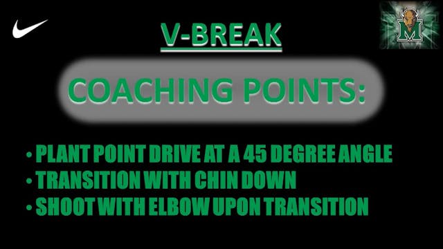 Marshall DB V Break