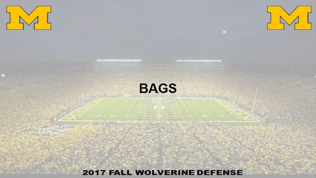 Michigan Linebacker - Bags
