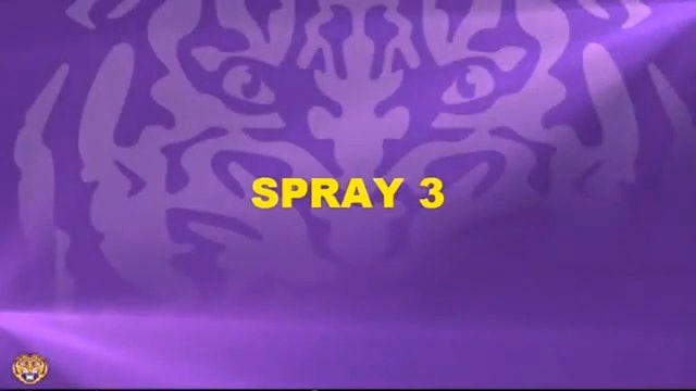 LSU WR Spray 3