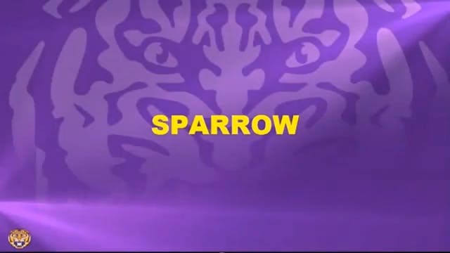 LSU WR Sparrow