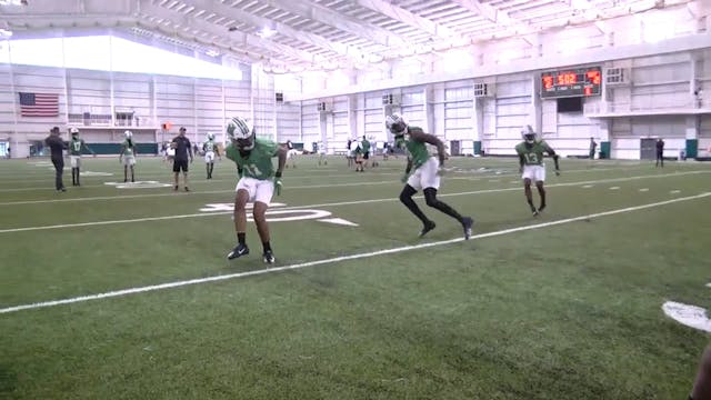 Marshall DB Transitions