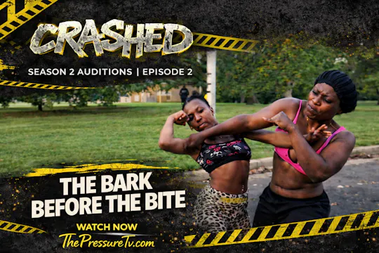 #2. Crashed 2: "The Bark Before The B...