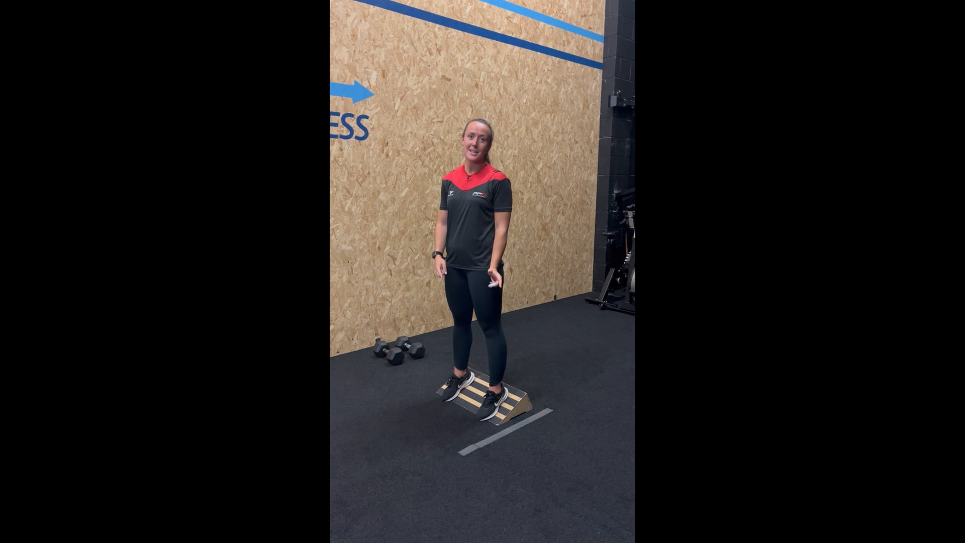 Hack Squat