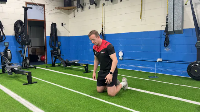 Bear Crawl Shoulder Taps