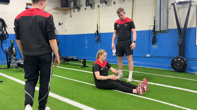 Partner Inverted Row