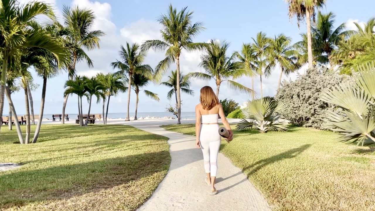 DISCOVER THE CORE COLLECTION 