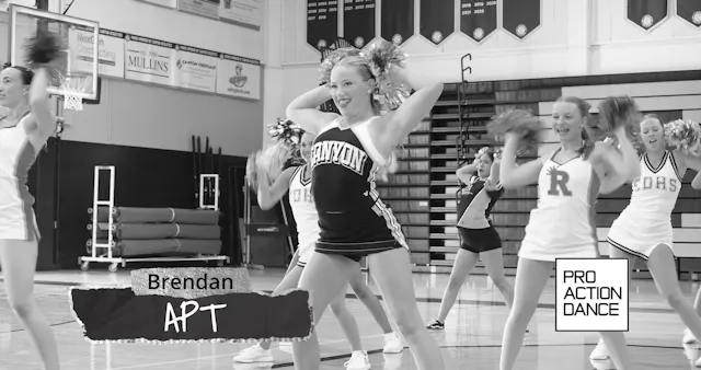A - Brendan - APT - Pom