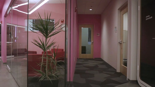 Pink Room-Lighting