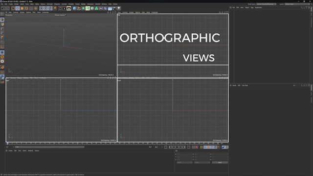 Orthographic And Perspective viewports