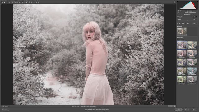 How To Use Lucid Dream In Adobe Camera RAW
