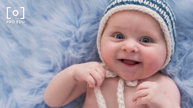 Newborn Photography: Baby's First Year