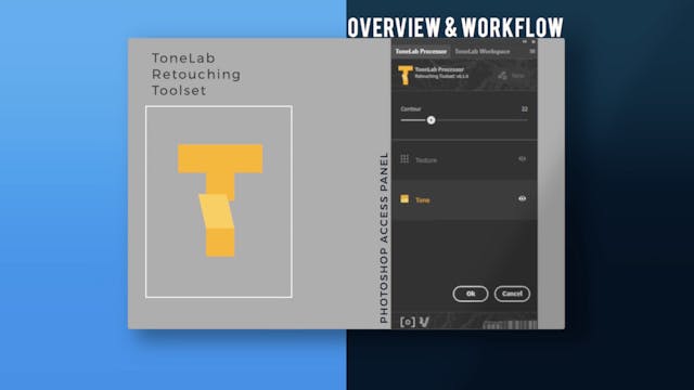 ToneLab Overview & Workflow