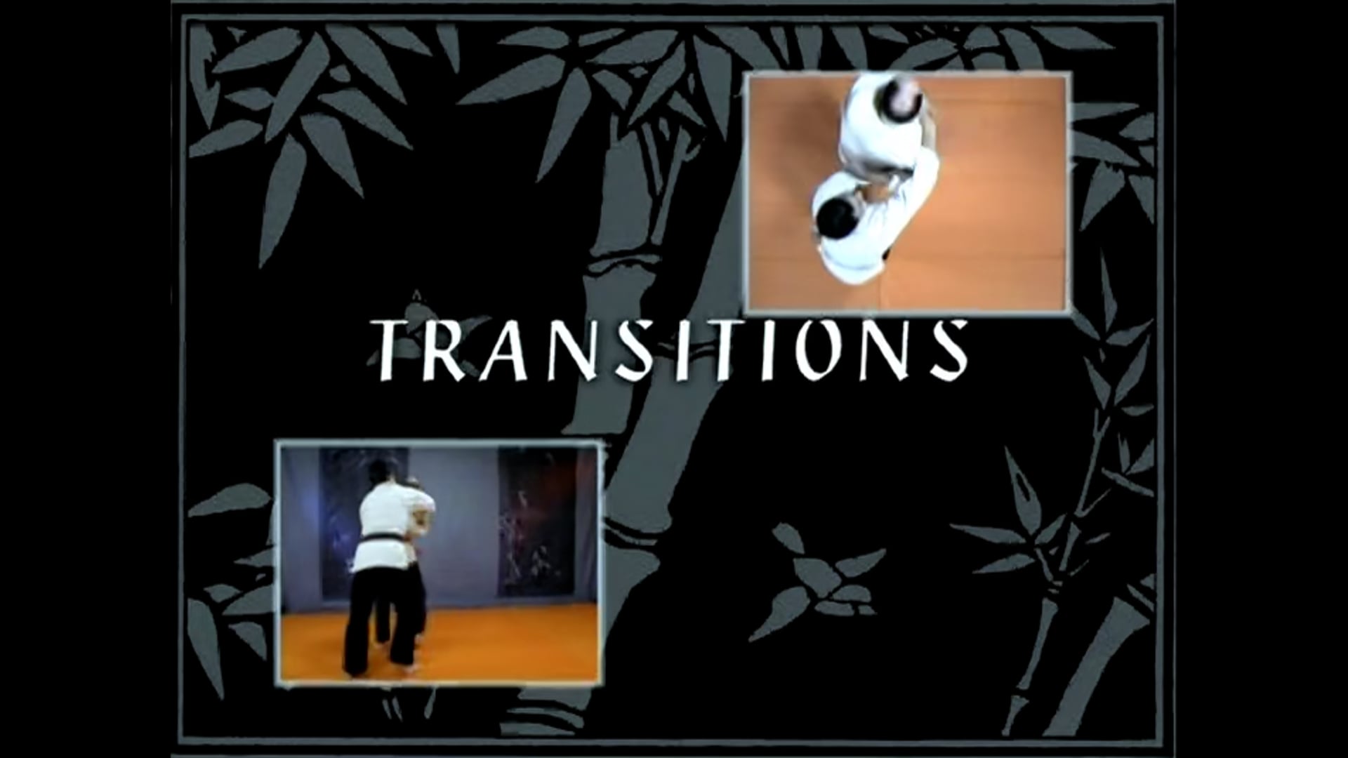 Transitions Video 1