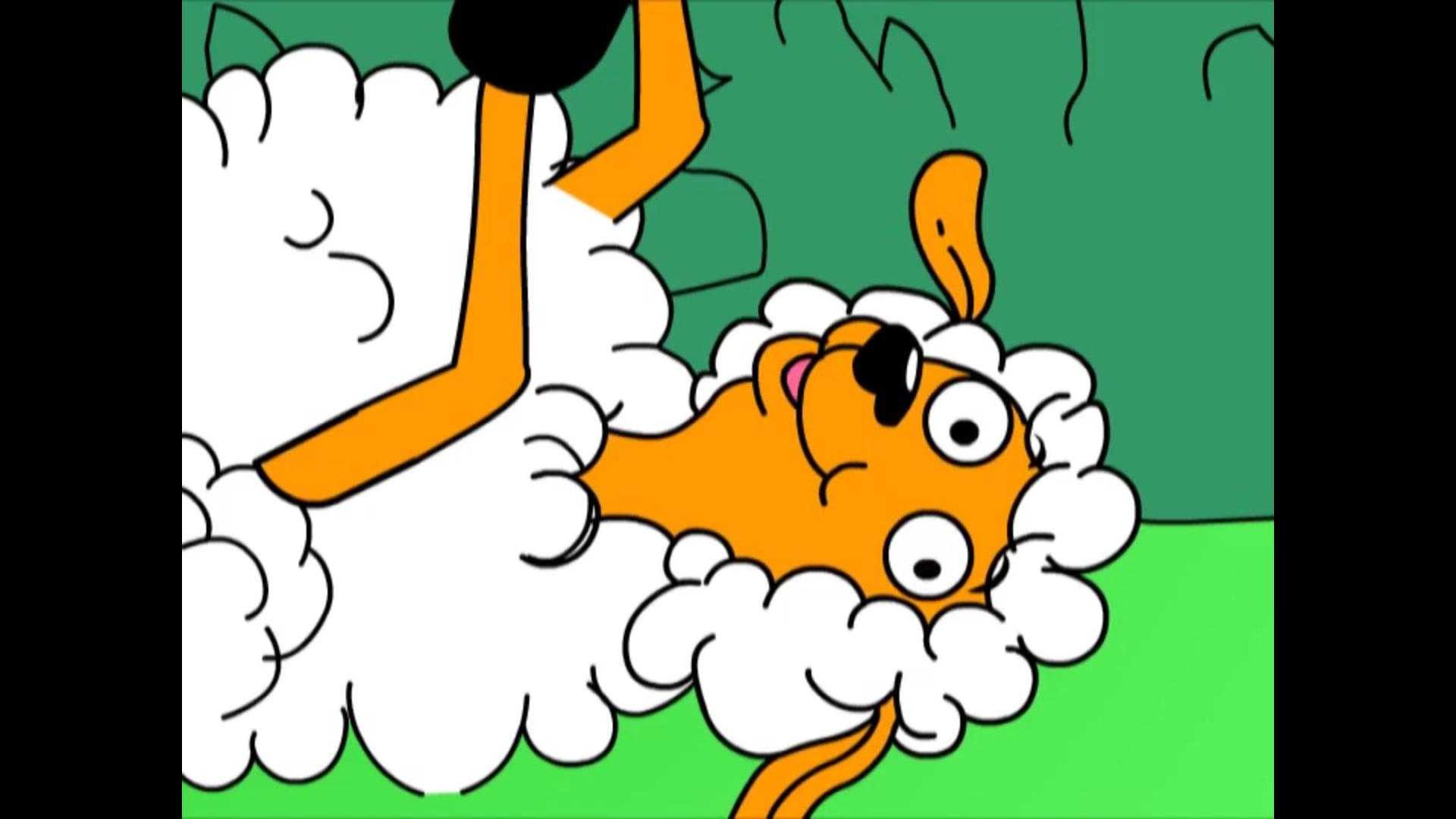 Segment 1 French - Meet the Animals