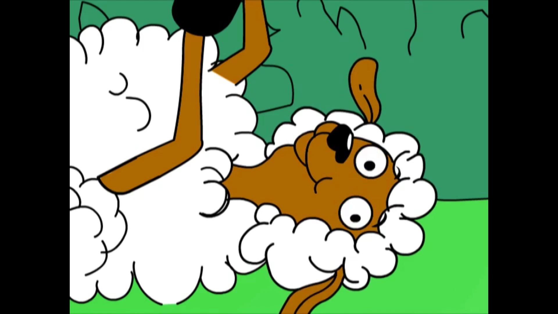 Segment 1 English - Meet the Animals